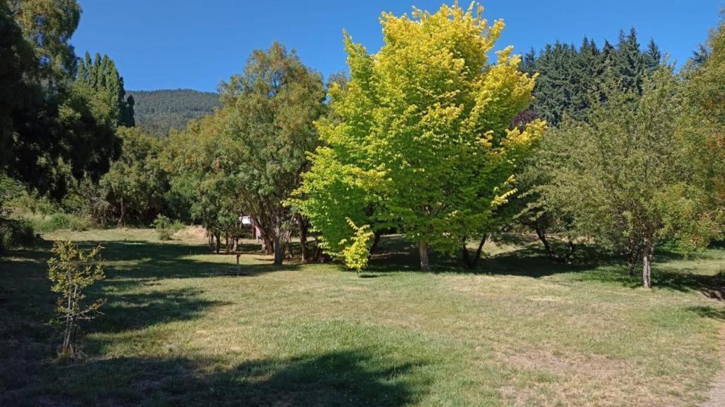 Rupu Pehuen Aparthotel Σαν Κάρλος ντε Μπαριλότσε Εξωτερικό φωτογραφία